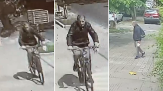 un ladron le robo una bicicleta a una kinesiologa de la plata a plena luz del dia y quedo filmado