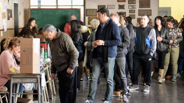 ¿a que precandidatos eligieron los platenses para presidente y gobernador en las paso?