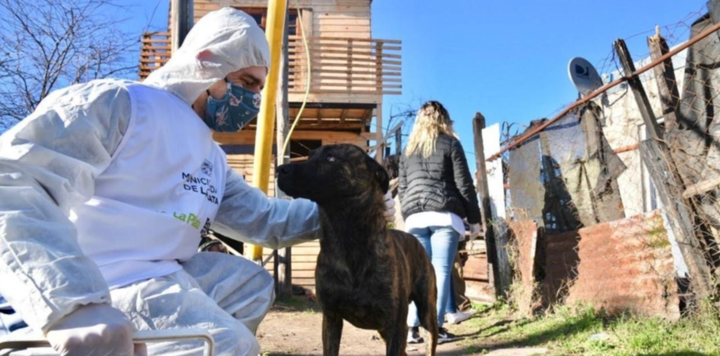 1599406117071.jpeg?x=14&y=71&width=1251&height=626&rotate=0&scaleX=1&scaleY=1&ow=1280&oh=853&&cw=1920&ch=950