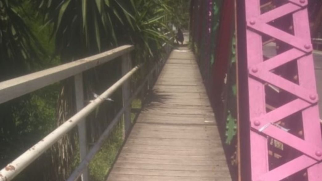 Cerraron un puente peatonal de La Plata por miedo a que se caiga alguien