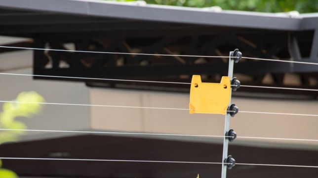 conmocion en brandsen: un nene de 8 anos murio electrocutado al tocar un boyero