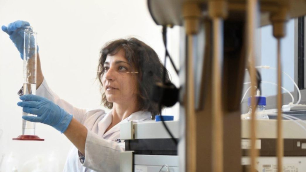 Científicos de la UNLP viajarán a Escocia para exponer avances en el chagas y la malaria