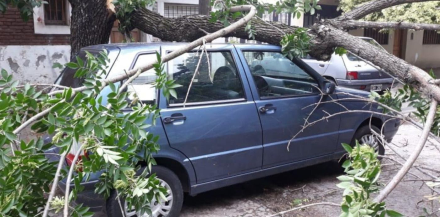 1544556373016.jpg?rotate=0&x=5&y=152&width=1011&ow=1032&oh=774&height=506&scaleX=1&scaleY=1&&cw=1920&ch=950