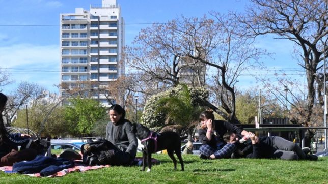 despues de las lluvias ¿como va a estar el clima el domingo en la plata?