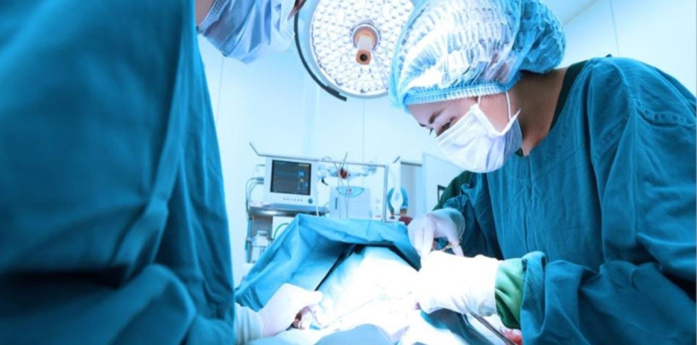 1556133997279.jpg?x= 13&y=144&width=1513&height=757&rotate=0&scaleX=1&scaleY=1&ow=1500&oh=1001&&cw=1920&ch=950