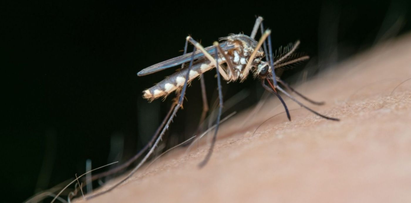 1680863892636.jpg?x=0&y=107&width=1477&height=738&rotate=0&scaleX=1&scaleY=1&ow=1500&oh=1000&&cw=1920&ch=950