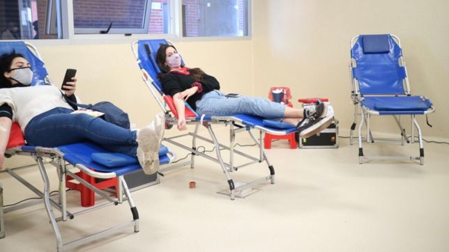 gimnasia celebra sus 135 anos con una colecta de sangre tripera en el bosque