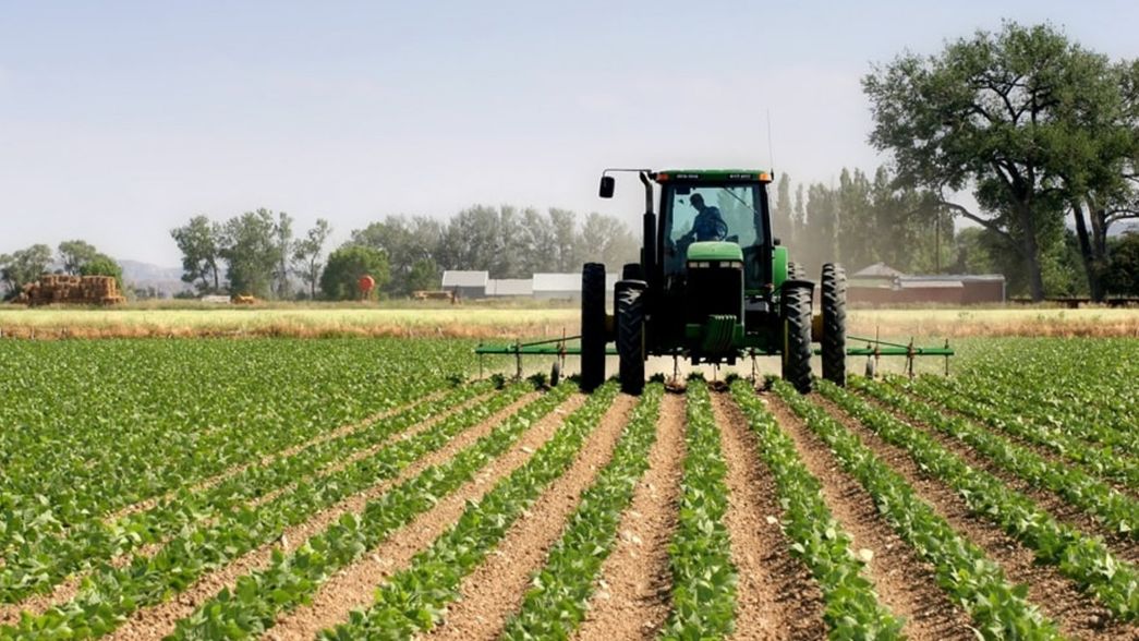 ARBA anunció que el Impuesto Inmobiliario Rural será más bajo que en 2024