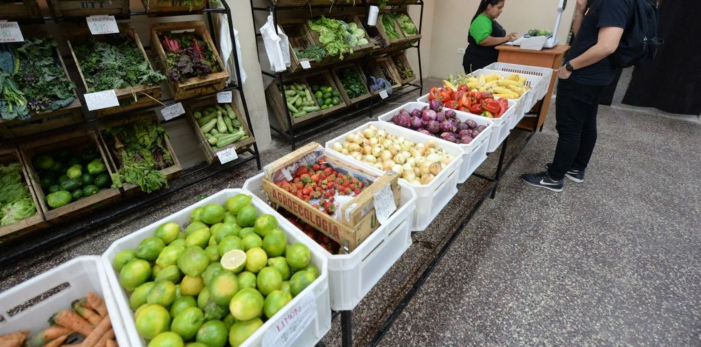 1575073926804.jpg?x=28&y=232&width=1479&height=739&rotate=0&scaleX=1&scaleY=1&ow=1500&oh=998&&cw=1920&ch=950