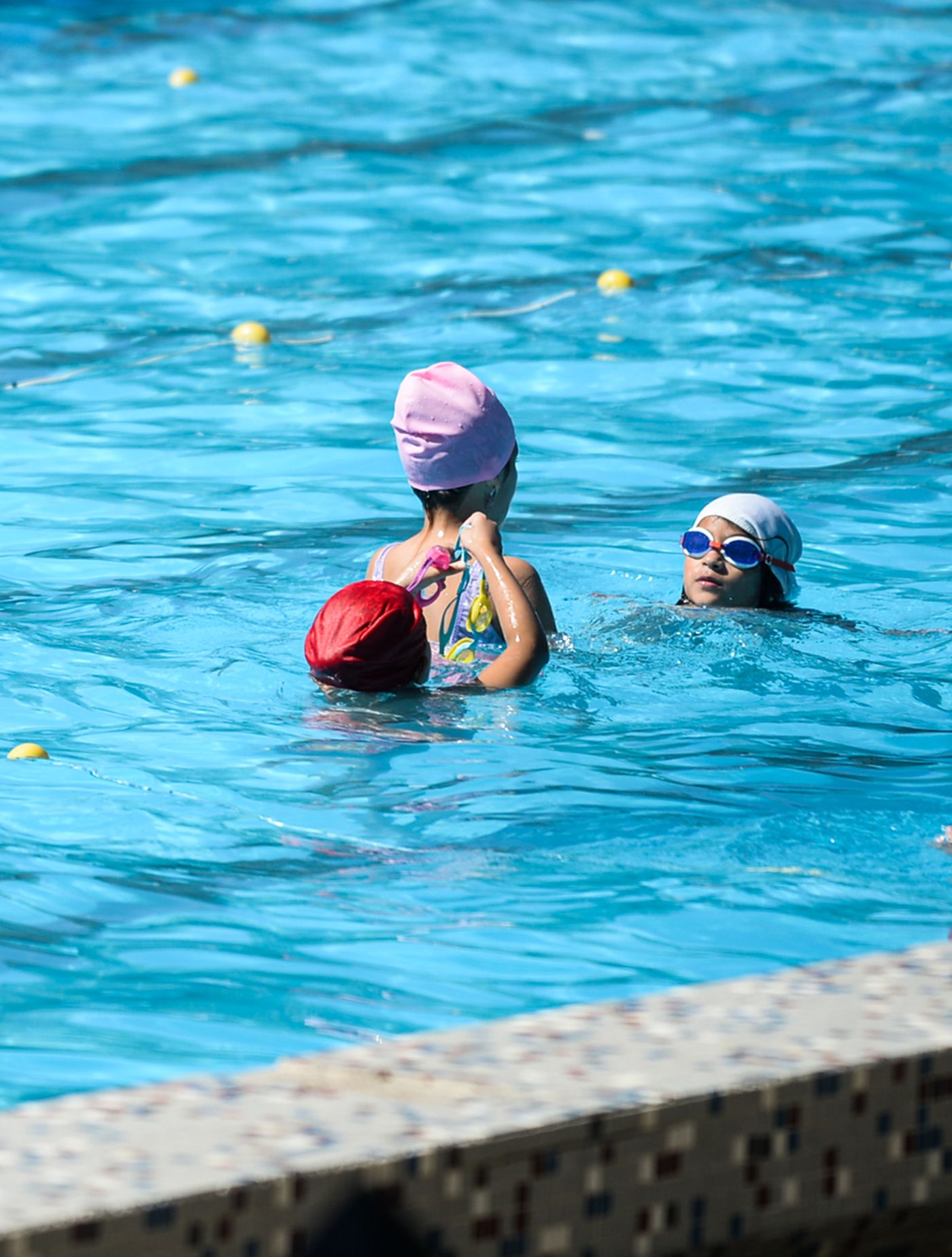 Colonias piletas (2).jpg