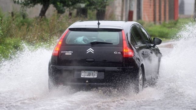 una fuerte tormenta atraveso la plata esta madrugada: que barrio fue el mas afectado
