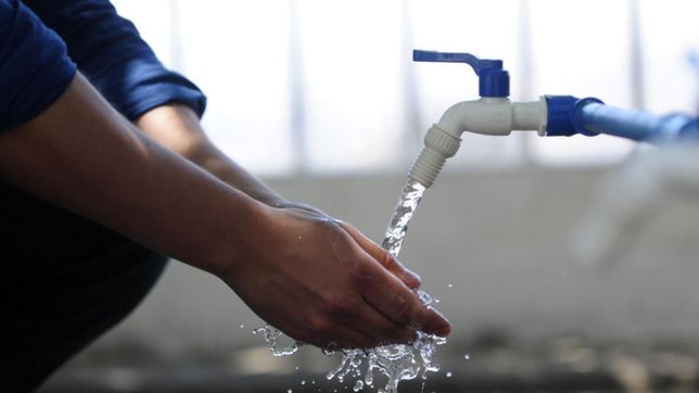 ¿por que el agua sale con olor a pescado en varias zonas de la plata?