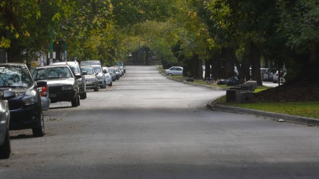 un asesor de la provincia aseguro que el toque de queda sanitario puede ser una opcion