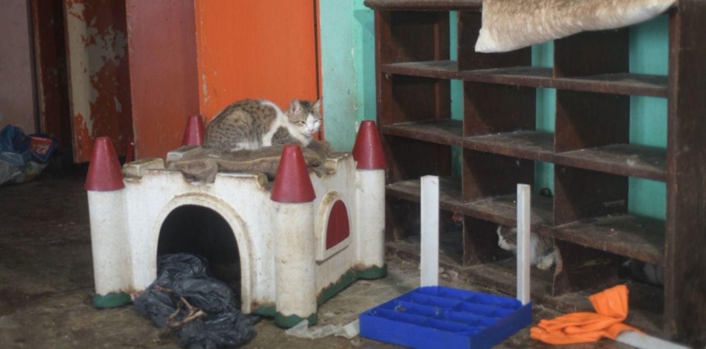 1630588860995.jpg?x=0&y=250&width=1500&height=750&rotate=0&scaleX=1&scaleY=1&ow=1500&oh=1000&&cw=1920&ch=950