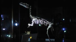 negacionistas de la existencia de los dinosaurios protestaron en el museo de ciencias naturales