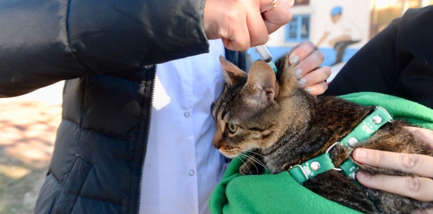 1560818210415.jpeg?x= 3&y=178&width=1499&height=749&rotate=0&scaleX=1&scaleY=1&ow=1500&oh=996&&cw=1920&ch=950