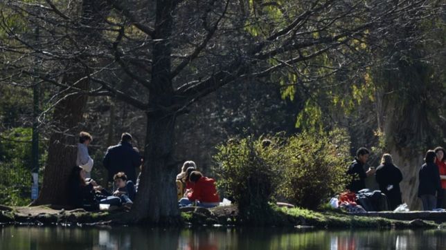 la semana termina en la plata con un viernes fresco y de sol: asi seguira el finde