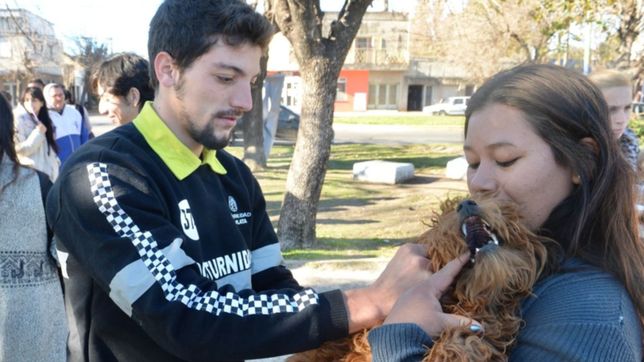 las jornadas de vacunacion gratuita de mascotas llegan a san carlos