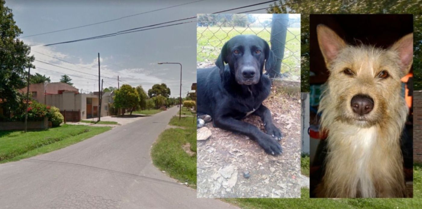 1547054669055.jpg?x=6&width=1235&height=617&scaleY=1&oh=700&y=40&rotate=0&scaleX=1&ow=1246&&cw=1920&ch=950