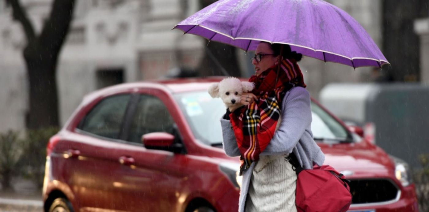 1689160805566.jpg?x=17&y=161&width=1452&height=726&rotate=0&scaleX=1&scaleY=1&ow=1500&oh=1114&&cw=1920&ch=950