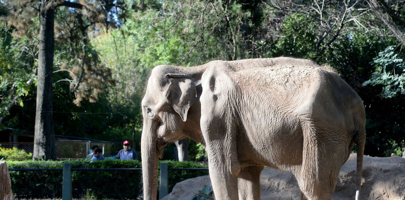 1526664097906.jpg?&cw=1920&ch=950