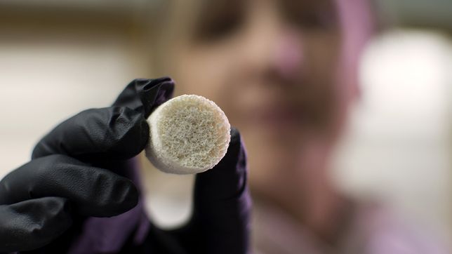 investigadoras de la unlp crearon esponjas ecologicas y reutilizables a partir de plumas de pollos