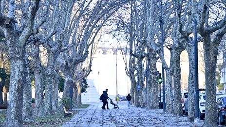 Con alerta amarillo por frío, La Plata se prepara para una semana helada y la posible vuelta de las lluvias