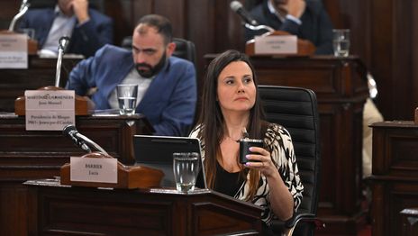 Hay muchas demandas vecinales por el sistema de micros que van a quedar sin saldar Hay muchas demandas vecinales por el sistema de micros que van a quedar sin saldar