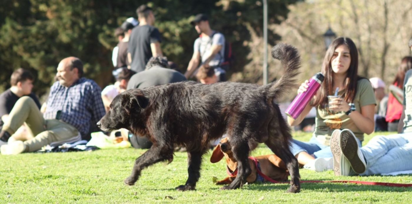 1632757333500.jpg?x=7&y=120&width=1493&height=747&rotate=0&scaleX=1&scaleY=1&ow=1500&oh=1000&&cw=1920&ch=950