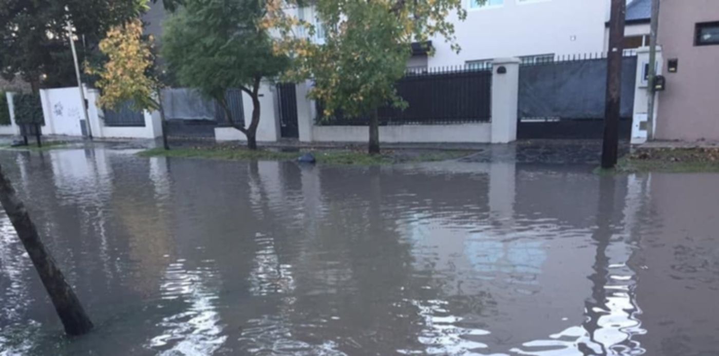 1557322445584.jpg?x=5&width=953&height=477&rotate=0&scaleX=1&oh=720&y=0&scaleY=1&ow=960&&cw=1920&ch=950