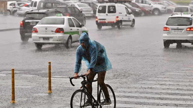 ¿cuanto llovio en la plata y cuales fueron los barrios mas afectados por la tormenta?