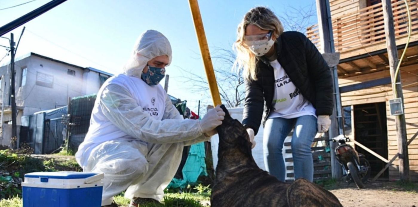 1596196056418.jpeg?x=0&y=6&width=1266&height=633&rotate=0&scaleX=1&scaleY=1&ow=1280&oh=853&&cw=1920&ch=950