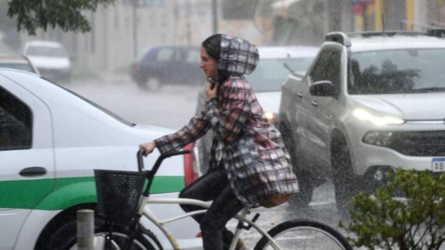 clima en la plata: alerta por lluvias y tormentas fuertes en toda la region