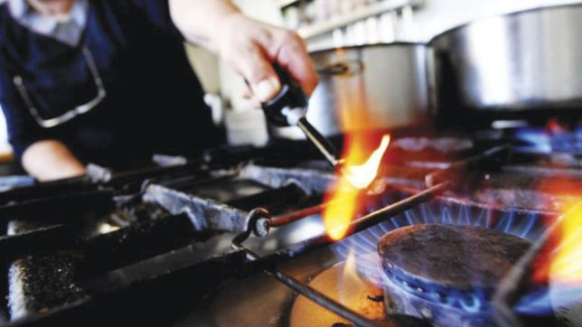 el gobierno y las licenciatarias discutiran la actualizacion de las tarifas de gas