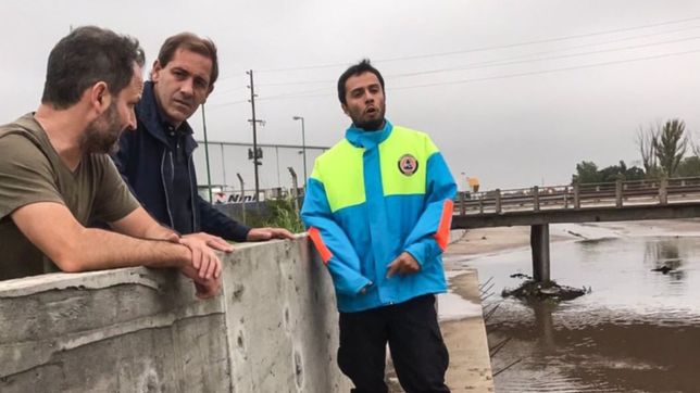 garro se mostro en el arroyo del gato recien llegado de italia