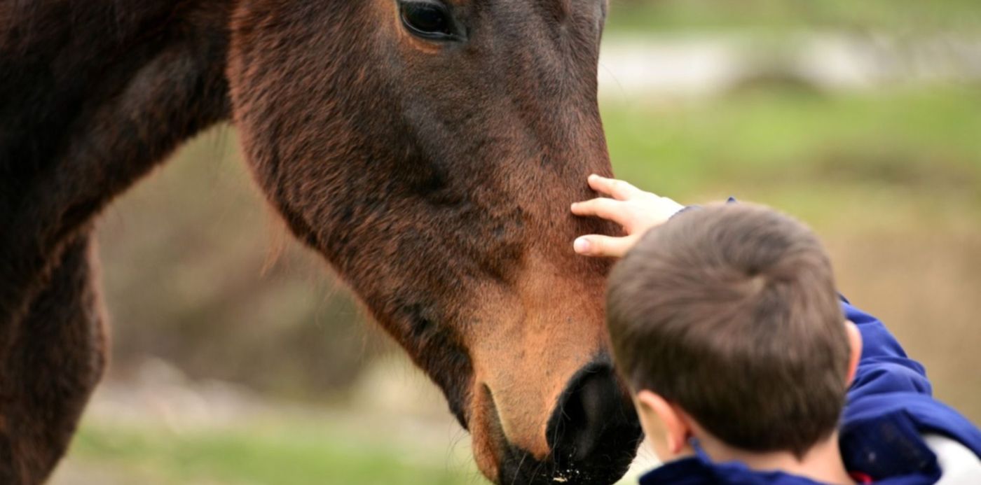 1681398193740.jpg?x= 17&y=180&width=1534&height=767&rotate=0&scaleX=1&scaleY=1&ow=1500&oh=1001&&cw=1920&ch=950