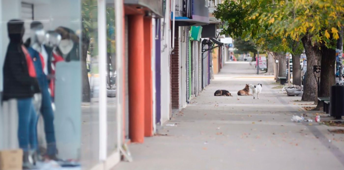 1525183574804.jpg?x=17&y=136&width=1479&scaleX=1&oh=998&height=740&rotate=0&scaleY=1&ow=1500&&cw=1920&ch=950