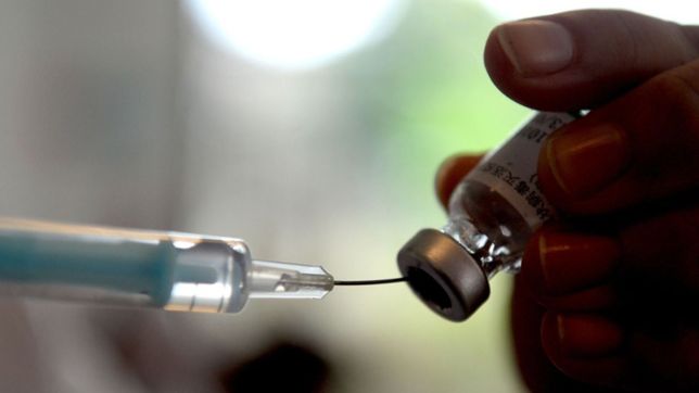 argentina vacuno al 50% de los mayores y alcanzo un nuevo record de aplicaciones en un dia