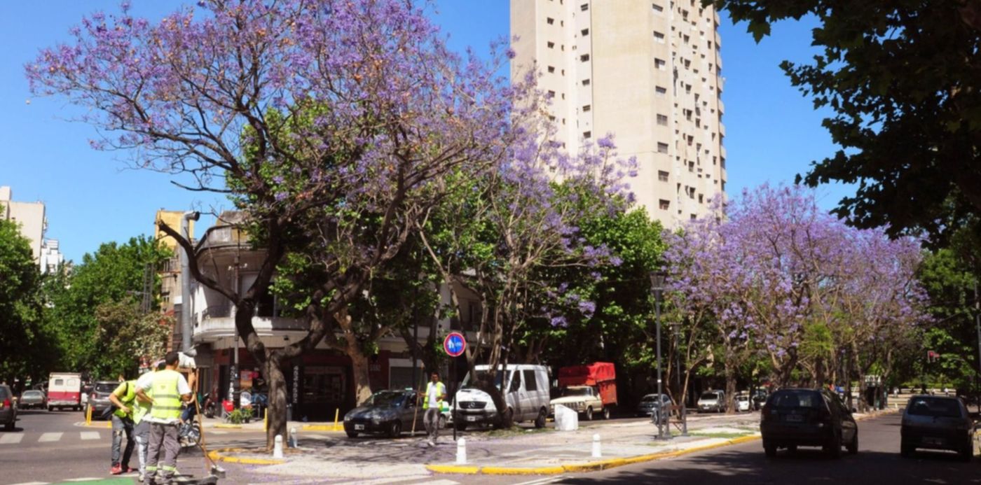 1575150086014.jpg?x=1&y=247&width=1499&height=749&rotate=0&scaleX=1&scaleY=1&ow=1500&oh=996&&cw=1920&ch=950