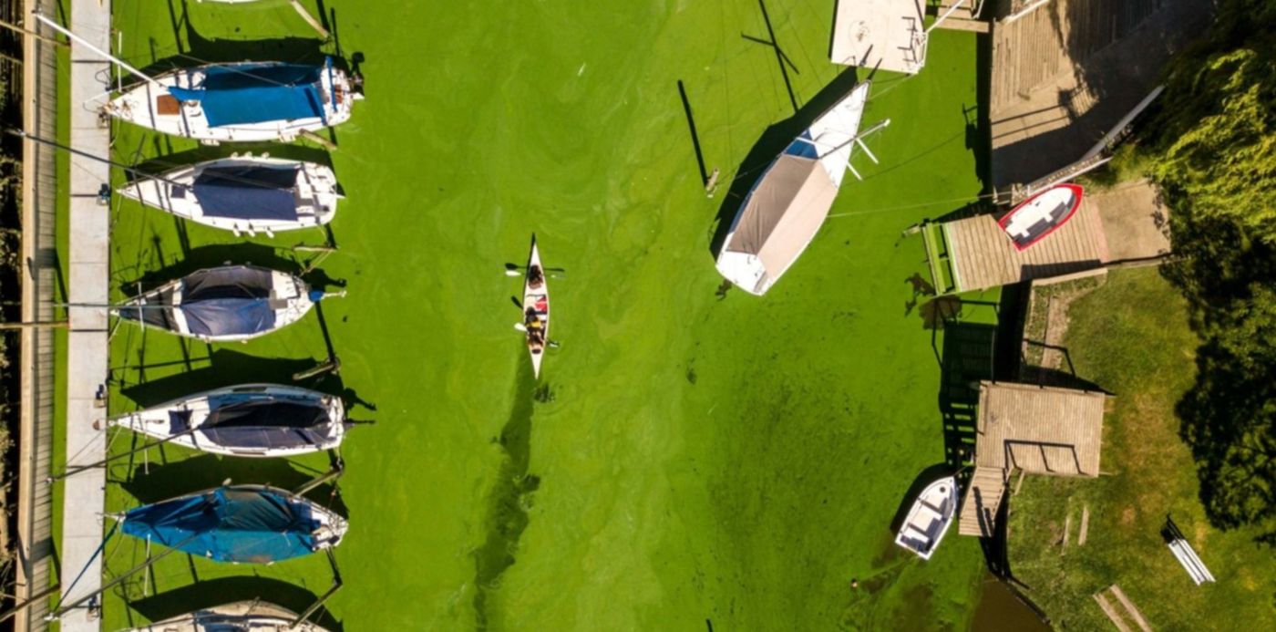 1606098607457.jpg?x=23&y=262&width=1455&height=727&rotate=0&scaleX=1&scaleY=1&ow=1500&oh=1124&&cw=1920&ch=950