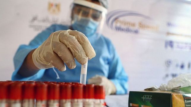 covid: un estudio argentino muestra que el 95% de pacientes genero anticuerpos en 45 dias