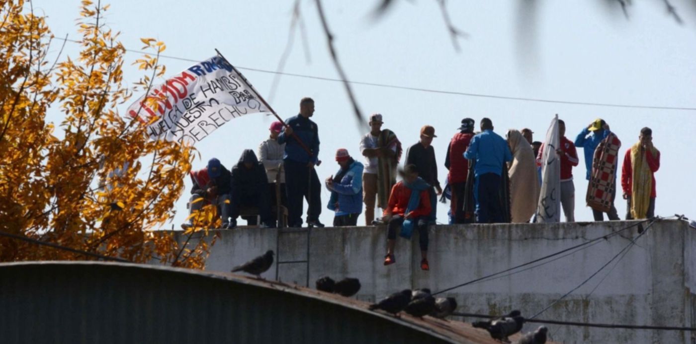 1587492873083.jpg?x=9&y=194&width=1481&height=741&rotate=0&scaleX=1&scaleY=1&ow=1500&oh=1082&&cw=1920&ch=950