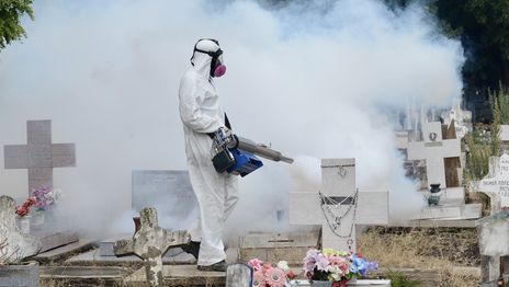 Fumigación Cementerio (5).jpg
