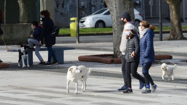 comercios, salidas saludables y cuarentena: ¿que se puede hacer y que no en la plata?