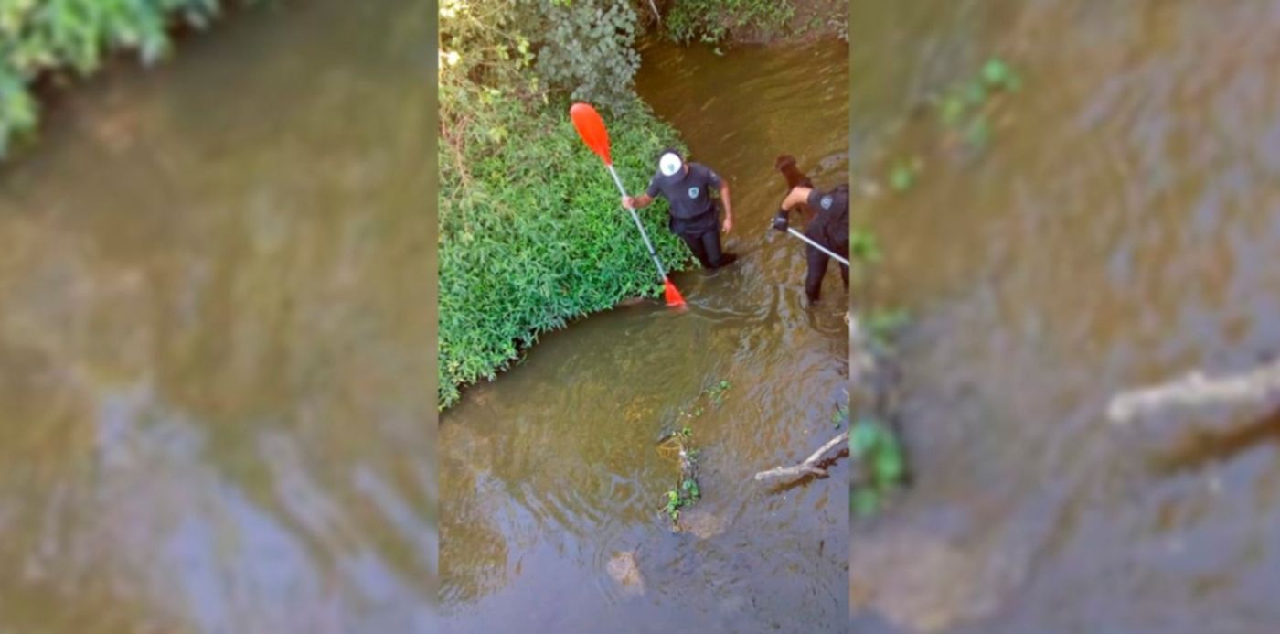 1550753487569.jpg?width=1489&oh=843&scaleX=1&scaleY=1&ow=1500&x=1&y=0&height=745&rotate=0&&cw=1920&ch=950