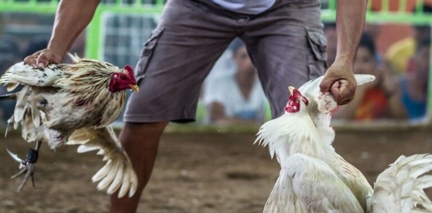 1614609471582.jpg?x=2&y=102&width=765&height=382&rotate=0&scaleX=1&scaleY=1&ow=768&oh=512&&cw=1920&ch=950