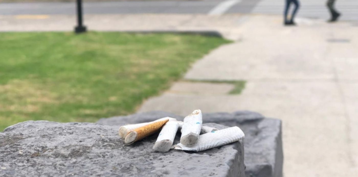 1608049439365.jpeg?x=10&y=326&width=1267&height=634&rotate=0&scaleX=1&scaleY=1&ow=1280&oh=960&&cw=1920&ch=950