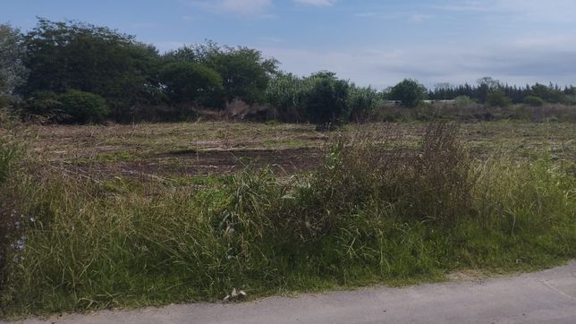 insolita disputa por un terreno baldio en la plata