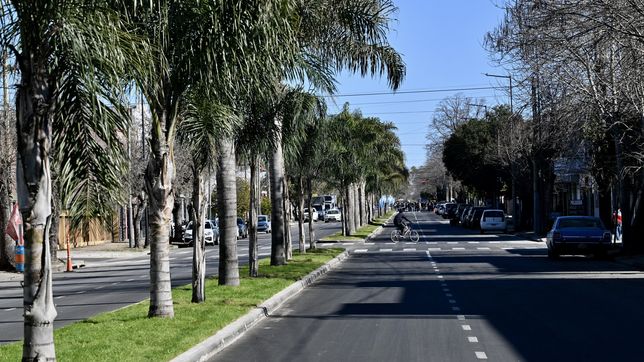 vecinos reclaman la urgente colocacion de semaforos en un tramo clave de la avenida 60