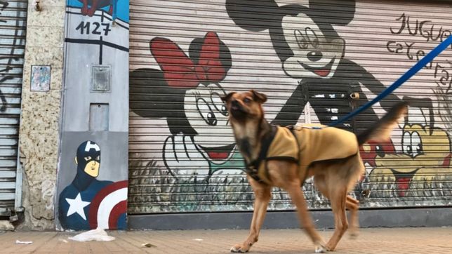 calle 12 empieza a transformarse en la primera galeria nocturna de arte en la plata